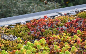 the cost of Shipton Green green roof installation