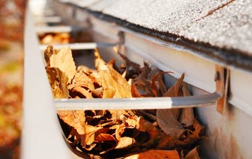 Shipton Green gutter cleaning companies
