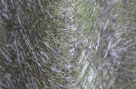 Shipton Green fibreglass roof work